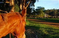 Billa Billa Farm Cottages - Australia Accommodation