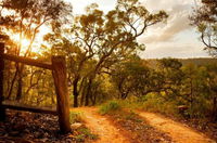 Kurrajong Trails and Cottages - QLD Tourism