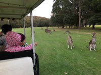 Nelson Bay Golf Club - Victoria Tourism