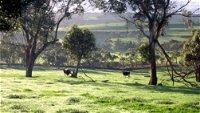 Bellevue Farmstay - Australia Accommodation