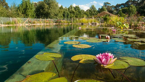 Bowmans Forest VIC Australia Accommodation