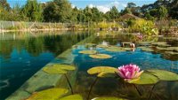 Planetrees Lodge - Accommodation NSW