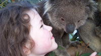 Fauna Australia Wildlife Retreat - Australia Accommodation