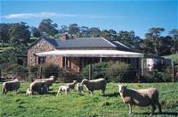 Book Mclaren Vale Accommodation Vacations Australia Accommodation Australia Accommodation