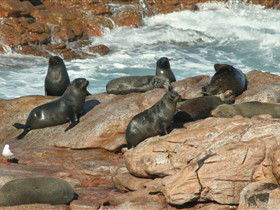 Foul Bay SA VIC Tourism