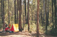 Nanga Mill Camp at Lane Poole Reserve - New South Wales Tourism 