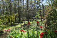 Book Mount Hutton Accommodation Vacations Australia Accommodation Australia Accommodation