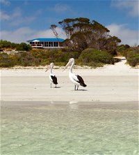Kangaroo Island Star Beach House - New South Wales Tourism 