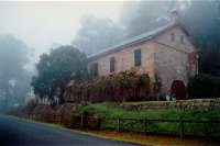 Tizzana Winery - New South Wales Tourism 