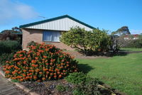 Lemontree Cottage Kangaroo Island - VIC Tourism