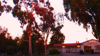 Murray Bridge Central Olympic Motel and Cottages - Stayed