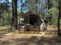 Tall Trees Camping on the Great Ocean Road - Sunshine Coast Tourism