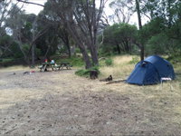 Allports Beach Camping Ground - Stayed