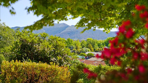 Abbeyard VIC Tourism TAS