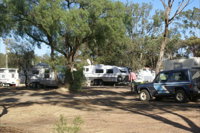 Inglewood Motel and Caravan Park - New South Wales Tourism 