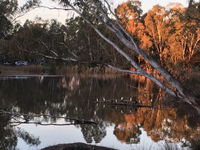 Jaycee Island - QLD Tourism