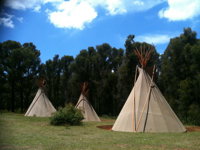 Kinglake Forest Adventures Camp - Melbourne Tourism