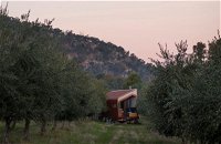 Shacky in the Olive Grove - Accommodation ACT
