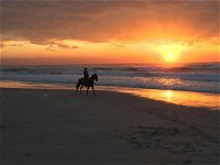 Tassiriki Ranch Beach Horse Riding and Holiday Cabins - QLD Tourism