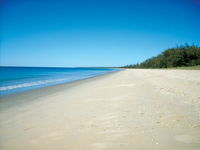 Woodgate Beach Tourist Park - Melbourne Tourism