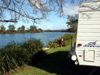 Bellinger River Tourist Park - Australia Accommodation