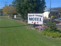 Coolah Black Stump Motel - Melbourne Tourism