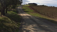 Gullyview Vineyards Retreat - Australia Accommodation