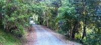 Solitude - Tourism Gold Coast