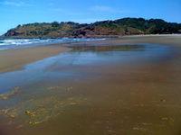 Yarrahapinni Homestead - QLD Tourism