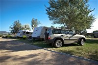 Killarney View Cabins and Caravan Park - New South Wales Tourism 