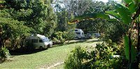Kuranda Rainforest Accommodation Park - Melbourne Tourism