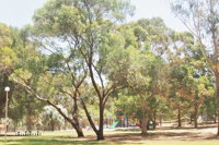 Riverton Caravan Park - QLD Tourism