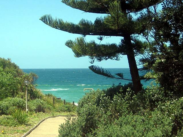 Diamond Beach NSW New South Wales Tourism 