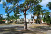 Sheldon Caravan Park - New South Wales Tourism 