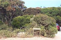The Honeymyrtle Cottage - VIC Tourism