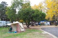 Wedderburn Pioneer Caravan Park - Accommodation NSW
