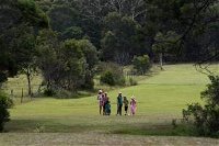 Woodbine Park Eco Cabins - New South Wales Tourism 