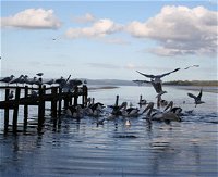 Pelicans At Denmark - Holiday Home - Tourism TAS
