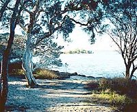 The Cove - VIC Tourism