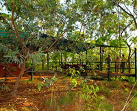 Arnhemland Barramundi Nature Lodge - New South Wales Tourism 