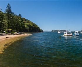 Backwater NSW Sunshine Coast Tourism