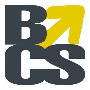 BCS Super Auditors