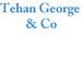 Tehan George  Co - Townsville Accountants