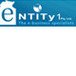 Entity 1 Pty Ltd - Accountants Sydney