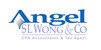 Angel SL Wong & Co. - thumb 0