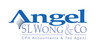 Angel SL Wong  Co. - Adelaide Accountant
