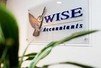 Wise Accountants Pty Ltd - Accountants Sydney