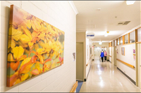 Kankinya Aged Care Facility - Aged Care Gold Coast
