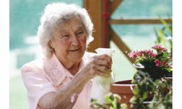 Book North Sydney Accommodation Vacations Aged Care Find Aged Care Find