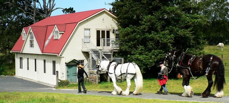 The Carriage House - Bay Of Islands - Accommodation New Zealand 5